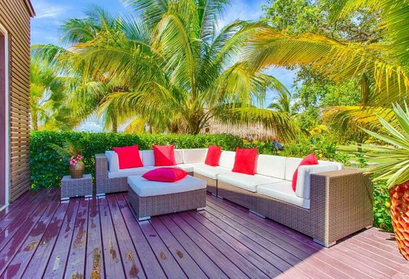 וילה בת 2 חדרי שינה, Wild Orchid