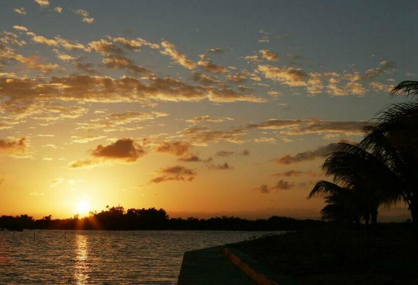 דירת שלושה חדרים, Wild Orchid