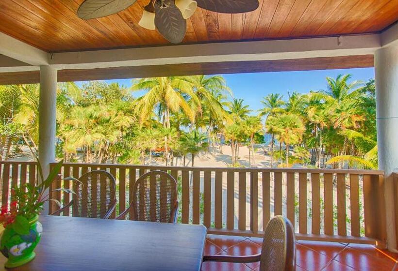 דירת שלושה חדרים, Wild Orchid