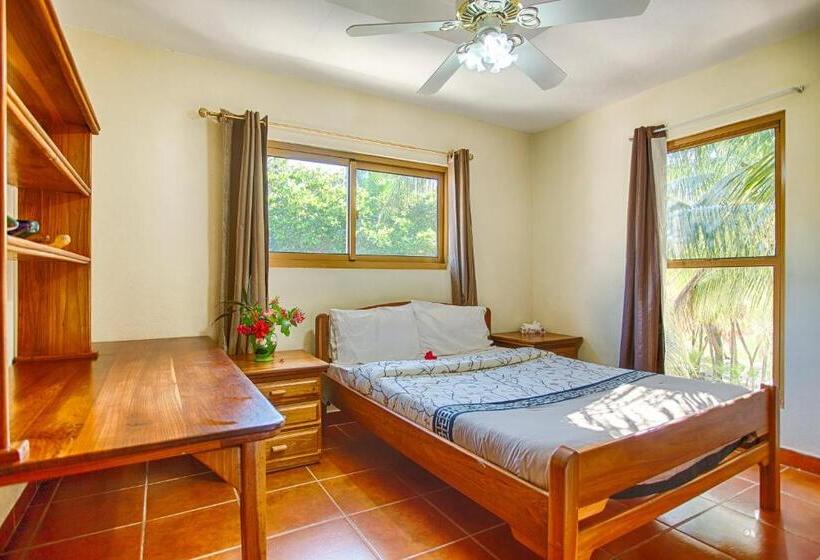 דירת שלושה חדרים, Wild Orchid