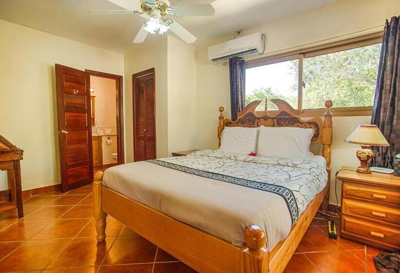 דירת שלושה חדרים, Wild Orchid