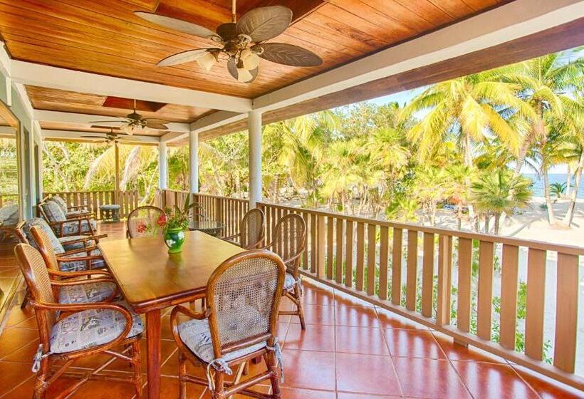 דירת שלושה חדרים, Wild Orchid