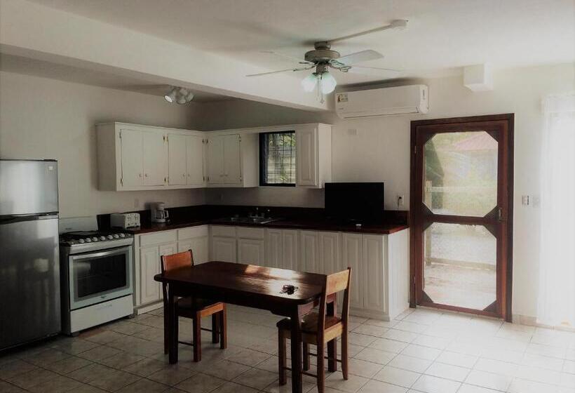 דירת חדר נוף לים, Wild Orchid