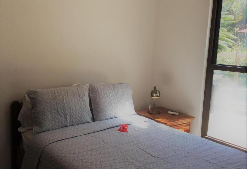 דירת חדר נוף לים, Wild Orchid