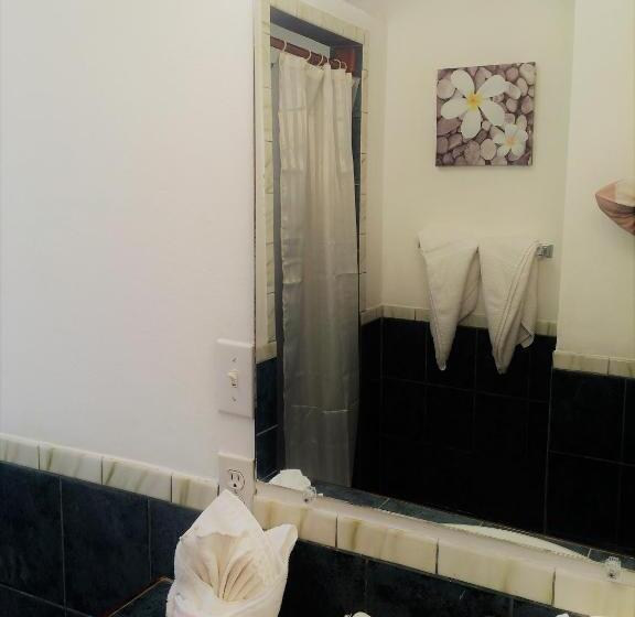 דירת חדר נוף לים, Wild Orchid