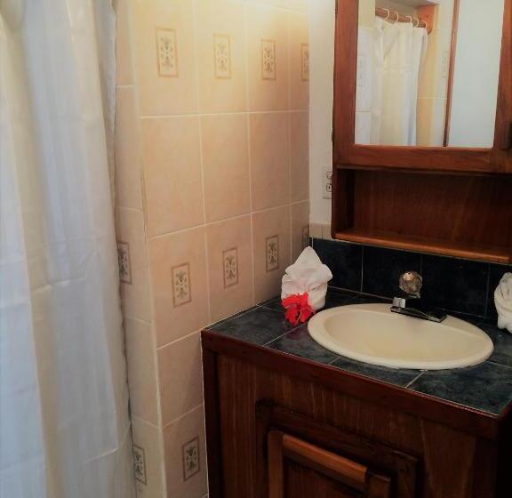 דירת חדר נוף לים, Wild Orchid