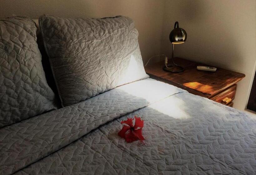 דירת חדר נוף לים, Wild Orchid