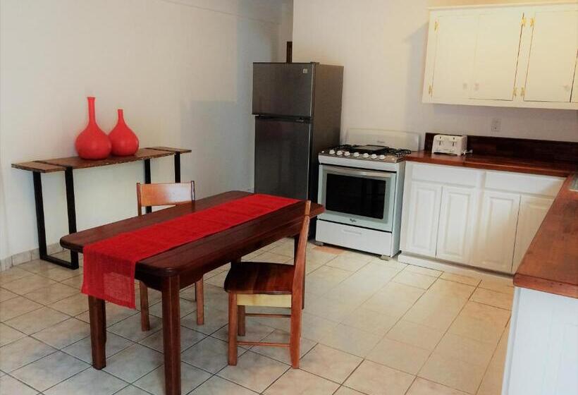 דירת חדר נוף לים, Wild Orchid