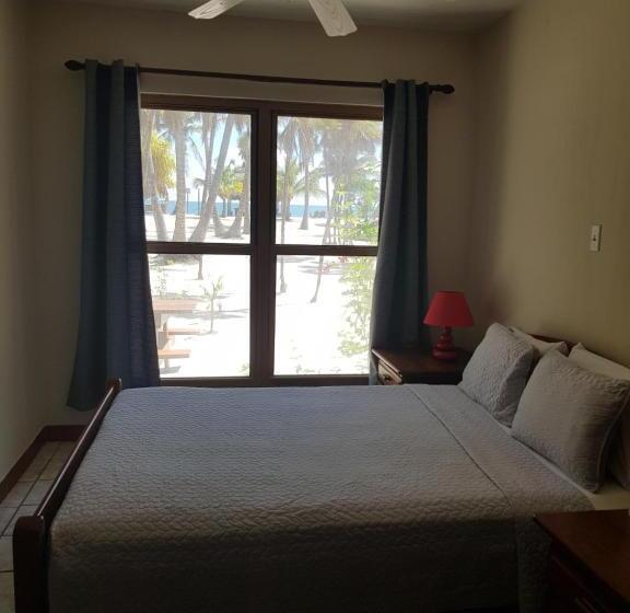 סטודיו סטנדרטי נוף לים, Wild Orchid