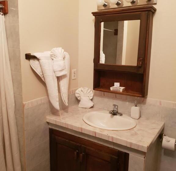 סטודיו סטנדרטי נוף לים, Wild Orchid