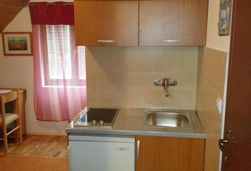 آپارتمان 1 خوابه با چشم‌انداز باغ, Guest House Milena