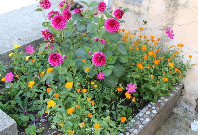 آپارتمان 1 خوابه با چشم‌انداز باغ, Guest House Milena