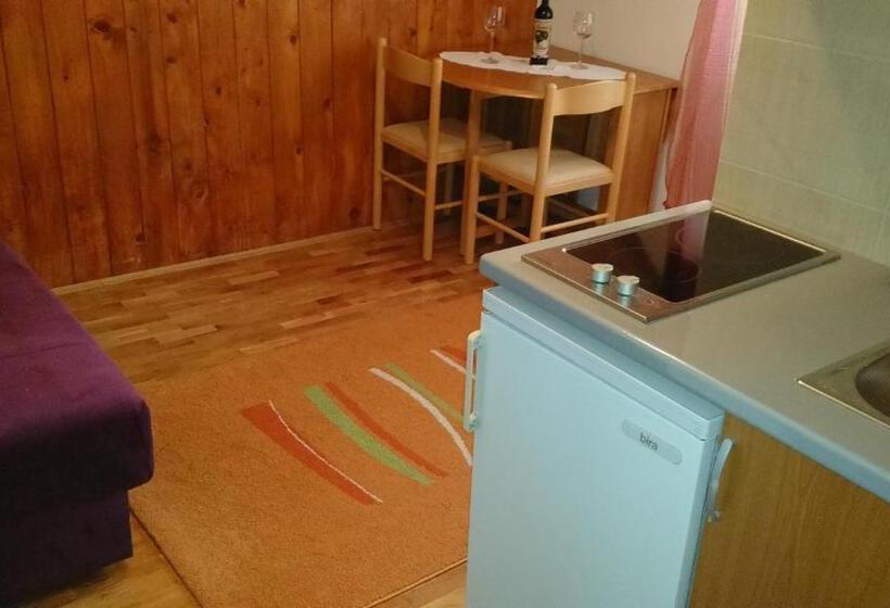 آپارتمان 1 خوابه با چشم‌انداز باغ, Guest House Milena