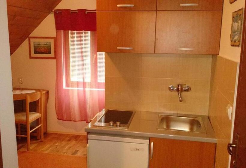 آپارتمان 1 خوابه با چشم‌انداز باغ, Guest House Milena