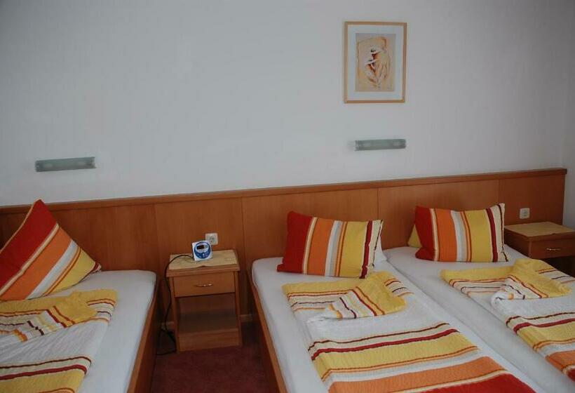 带阳台的三人标准间, Pension Agnes