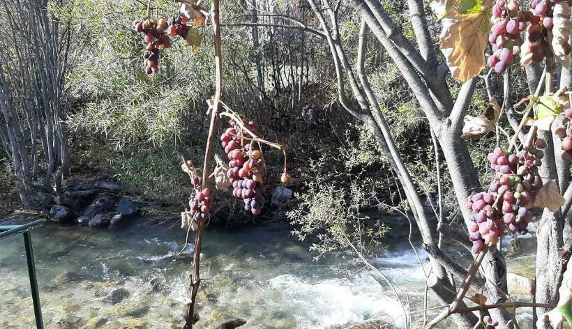 سوییت خانوادگی, Rooms And Apartmants Mirovic