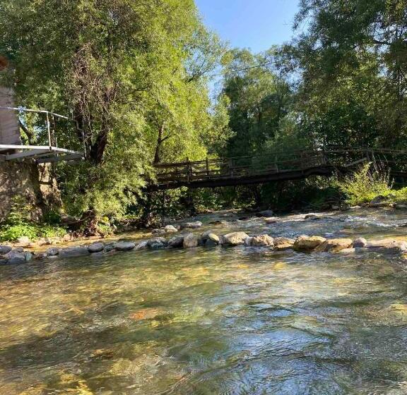 آپارتمان 1 خوابه, Rooms And Apartmants Mirovic