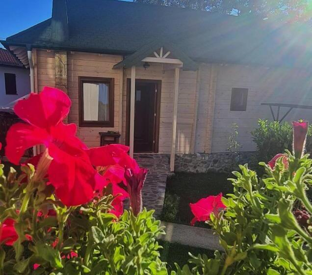 اتاق استاندارد, Rooms And Apartmants Mirovic