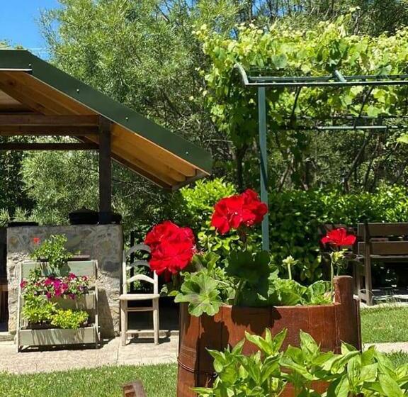 بانگلوی استاندارد, Rooms And Apartmants Mirovic