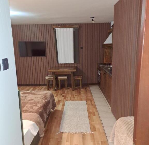 آپارتمان 1 خوابه, Rooms And Apartmants Mirovic