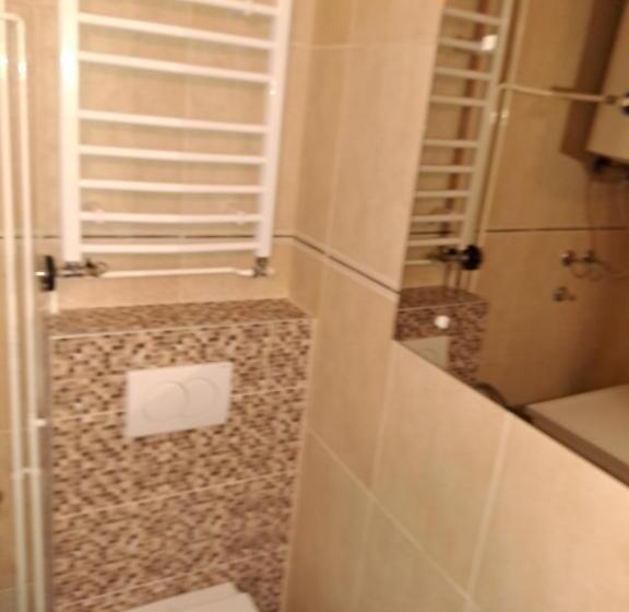 آپارتمان 1 خوابه, Rooms And Apartmants Mirovic