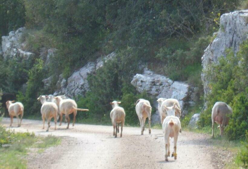 标准间带露台, Sous Les Chênes