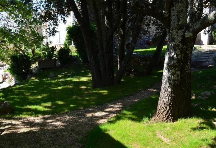 Номер Стандарт с Террасой, Sous Les Chênes
