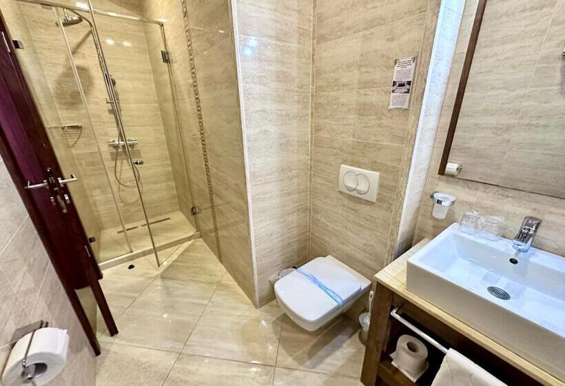 اتاق استاندارد با تراس, Porto Sole