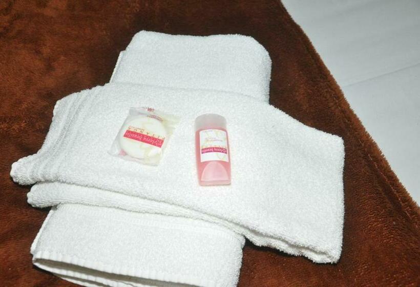 شقة غرفة واحدة, Bonjour