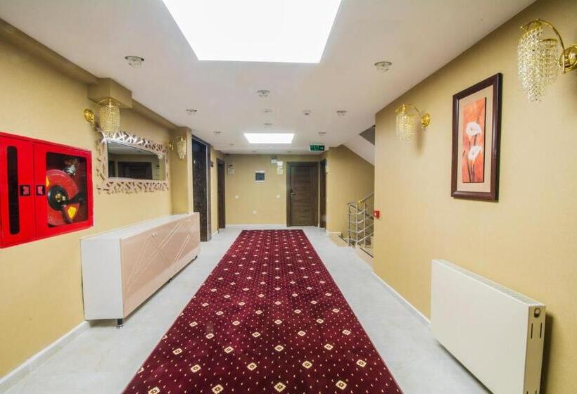 جناح, Business Han