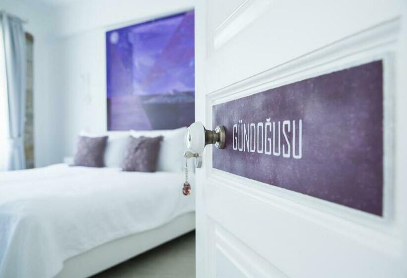 اتاق استاندارد, Esinti