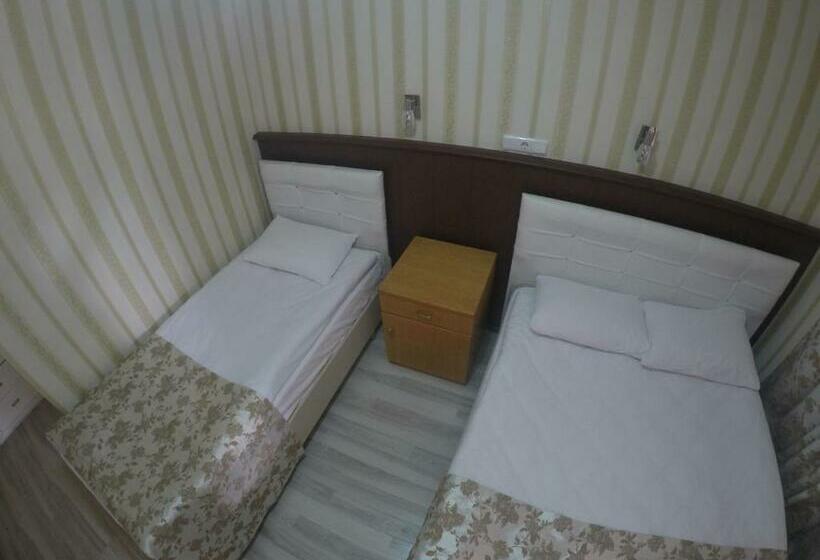 اتاق اکونومی, Pınar Vintage House