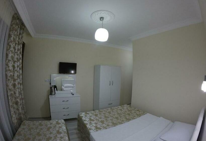 اتاق اکونومی, Pınar Vintage House