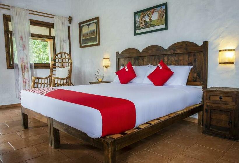 수피리어 룸, Posada La Querencia