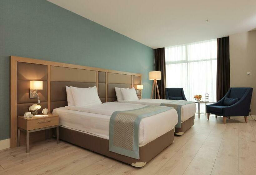 Quarto superior, The Ankara