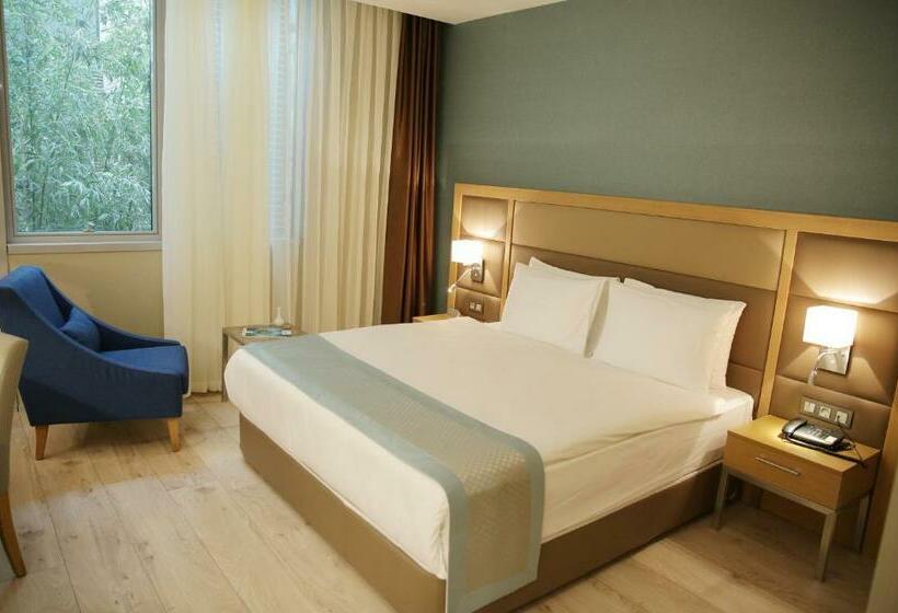 اتاق استاندارد, The Ankara