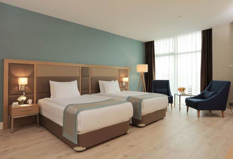 Quarto superior, The Ankara