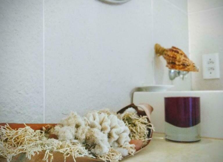 חדר סופריור, Castelo Vendom Ecolodge Parajuru