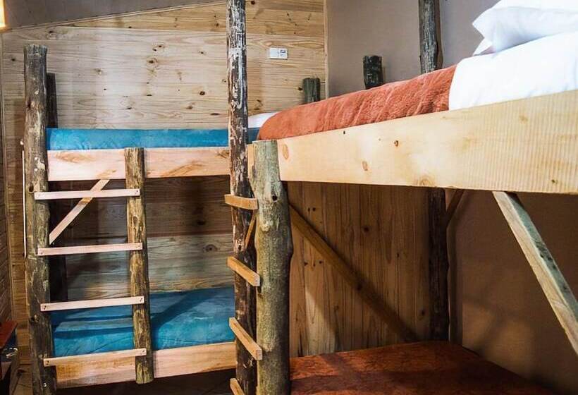 חדר סטנדרט, Hostel Cape Town   Cambará Do Sul
