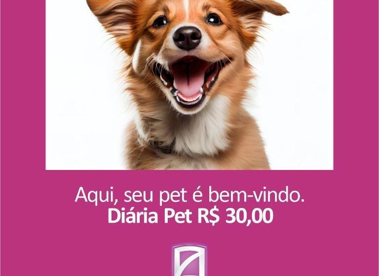 スーペリアトリプルルーム, Zata E Flats