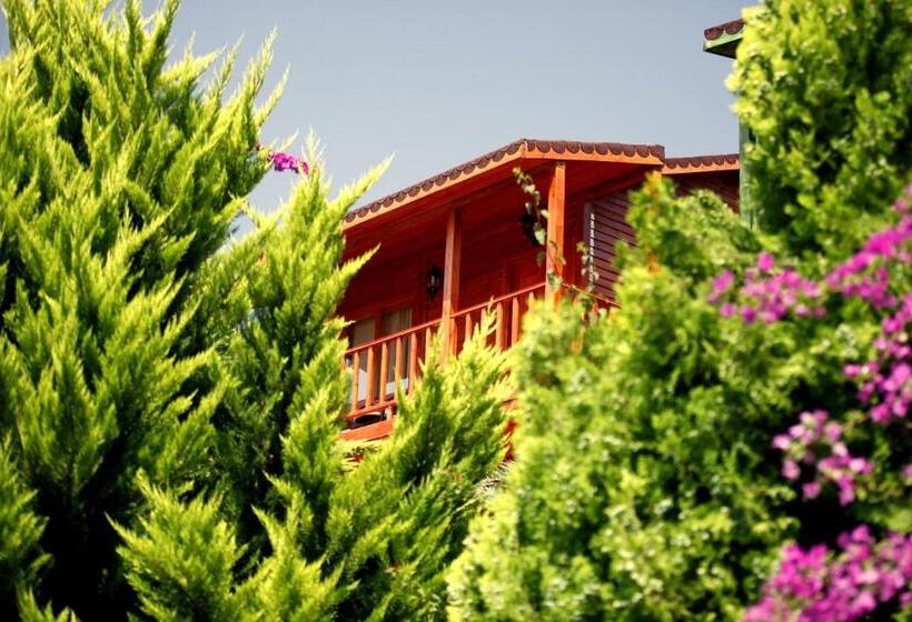 بنجلو قياسى غرفتين نوم, Olbios Marina Resort