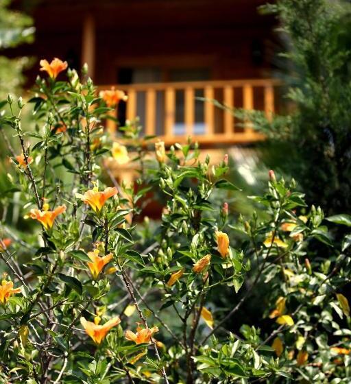 بنجلو قياسى غرفتين نوم, Olbios Marina Resort