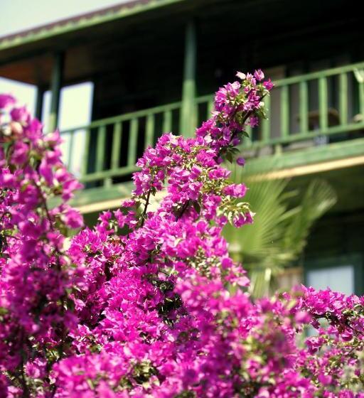 Бунгало Стандарт, Olbios Marina Resort