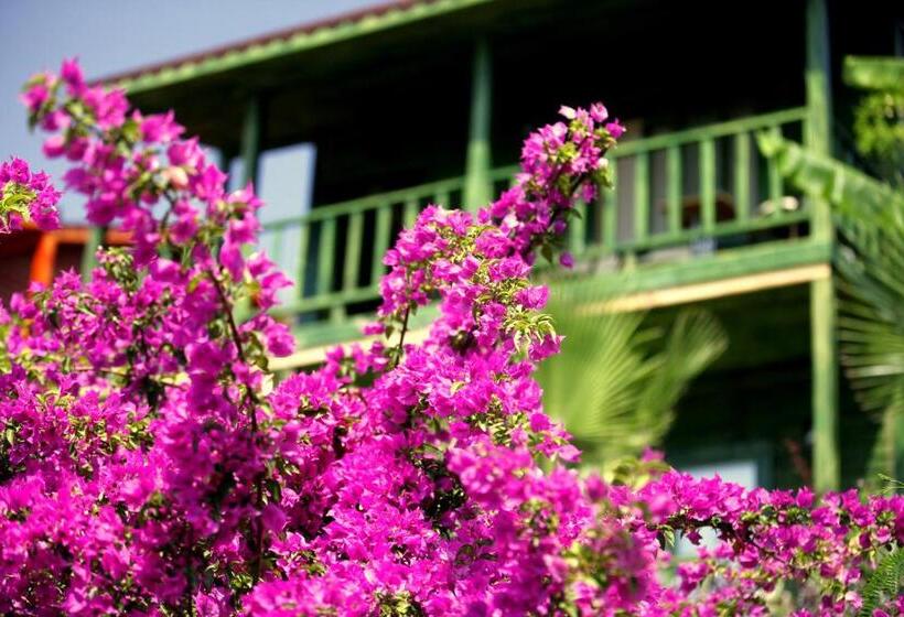 بنجلو قياسى غرفتين نوم, Olbios Marina Resort