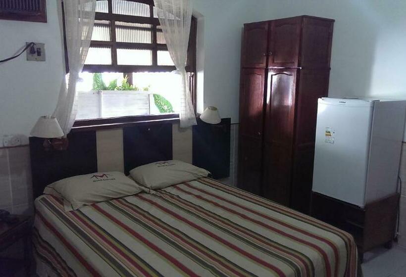 Номер Стандарт, Gaivota