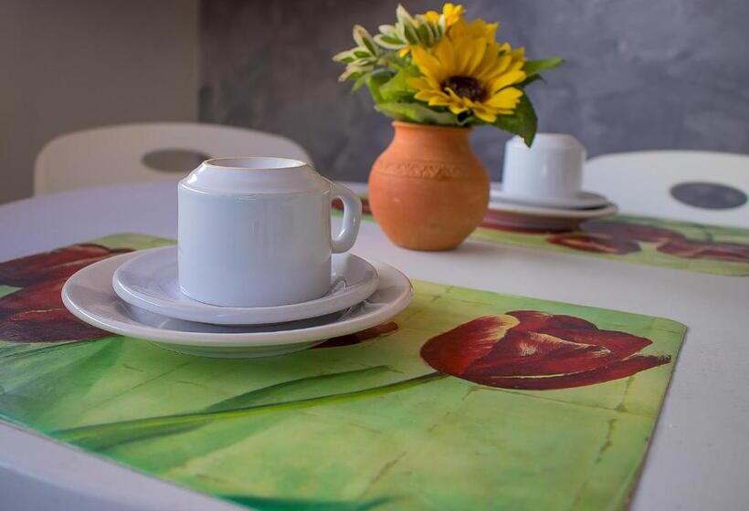 إستوديو قياسى, Vila Aju  Pousada Tematica