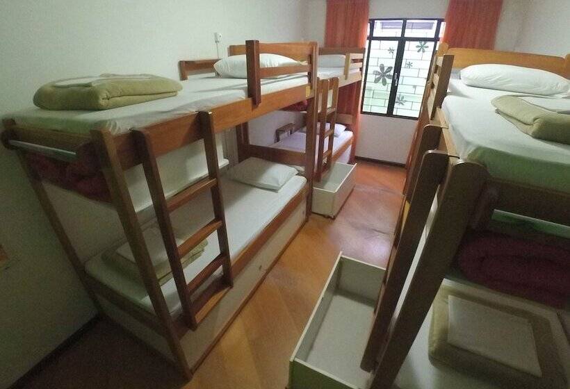 标准间, Jardim Botânico House