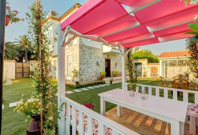 Quarto standard, Bellapi̇etra