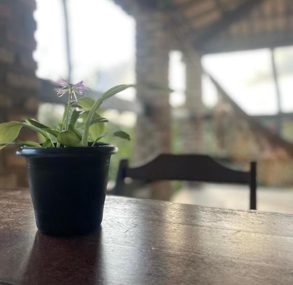 바다 전망 스위트, Hostel Do Ceu