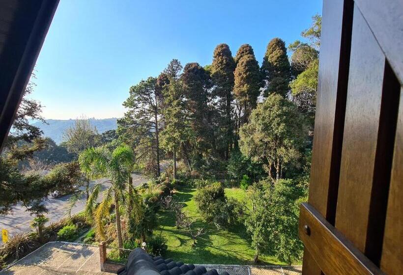 Номер Superior, Azaleia